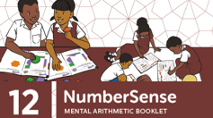 NumberSense Mental Arithmetic Learner Booklet 12
