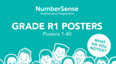 Grade R “What do you notice?” Posters R1