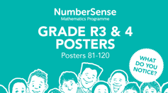 Grade R “What do you notice?” Posters R3 & R4