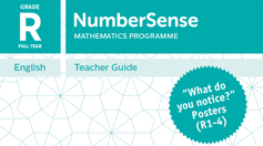 Teacher Guide for Grade R 'What do you notice?' Posters