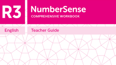 Teacher Guide for NumberSense Workbook R3