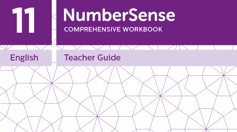 Teacher Guide for NumberSense Workbook 11