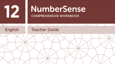 Teacher Guide for NumberSense Workbook 12