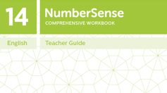 Teacher Guide for NumberSense Workbook 14
