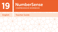 Teacher Guide for NumberSense Workbook 19