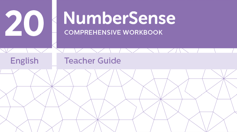 Teacher Guide for NumberSense Workbook 20