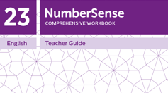 Teacher Guide for NumberSense Workbook 23