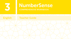Teacher Guide for NumberSense Workbook 3