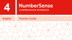 Teacher Guide for NumberSense Workbook 4