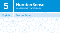 Teacher Guide for NumberSense Workbook 5