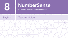 Teacher Guide for NumberSense Workbook 8
